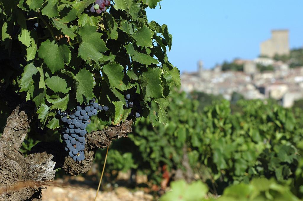 Les Carmes And Spa Le Thor Esterno foto