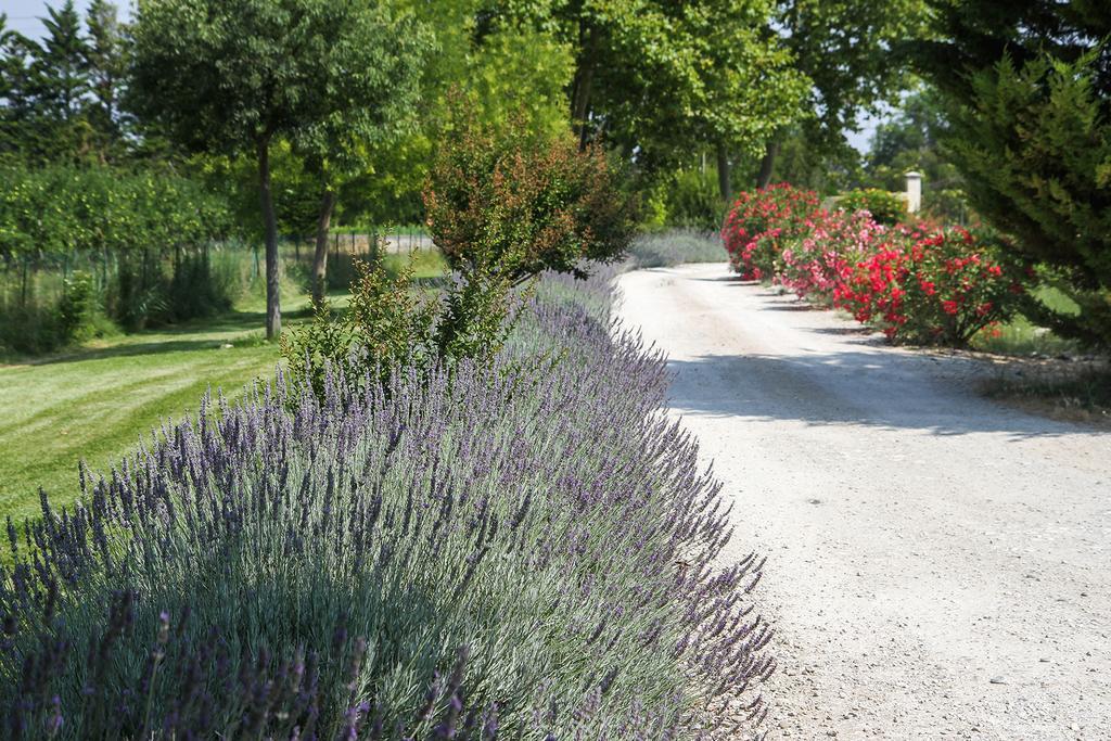 Les Carmes And Spa Le Thor Esterno foto